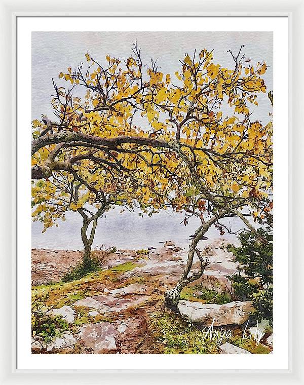 Fall by the Sea - Framed Print