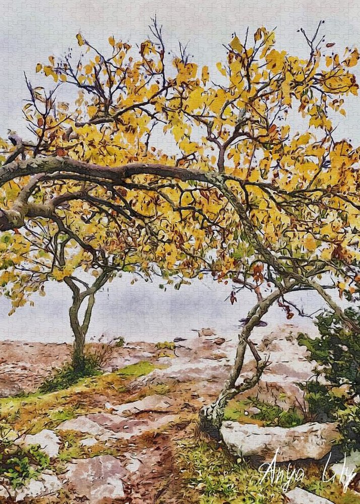 Fall by the Sea - Puzzle