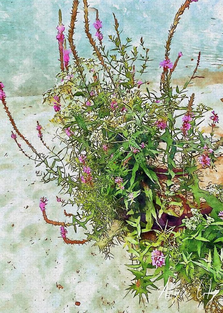 Nature's Design - Puzzle