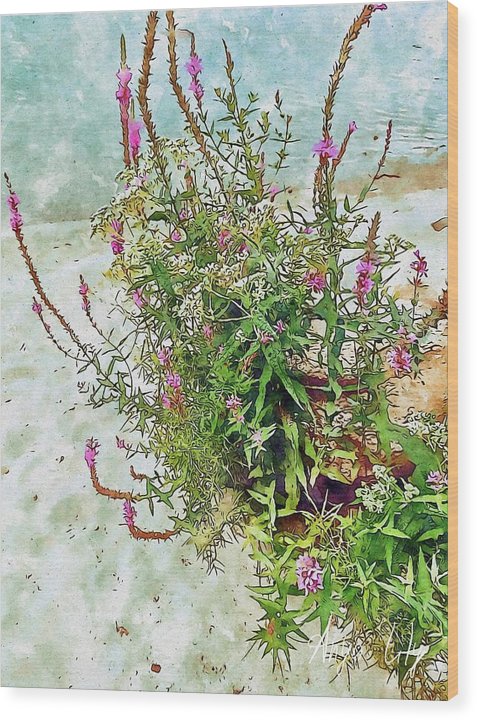 Nature's Design - Wood Print