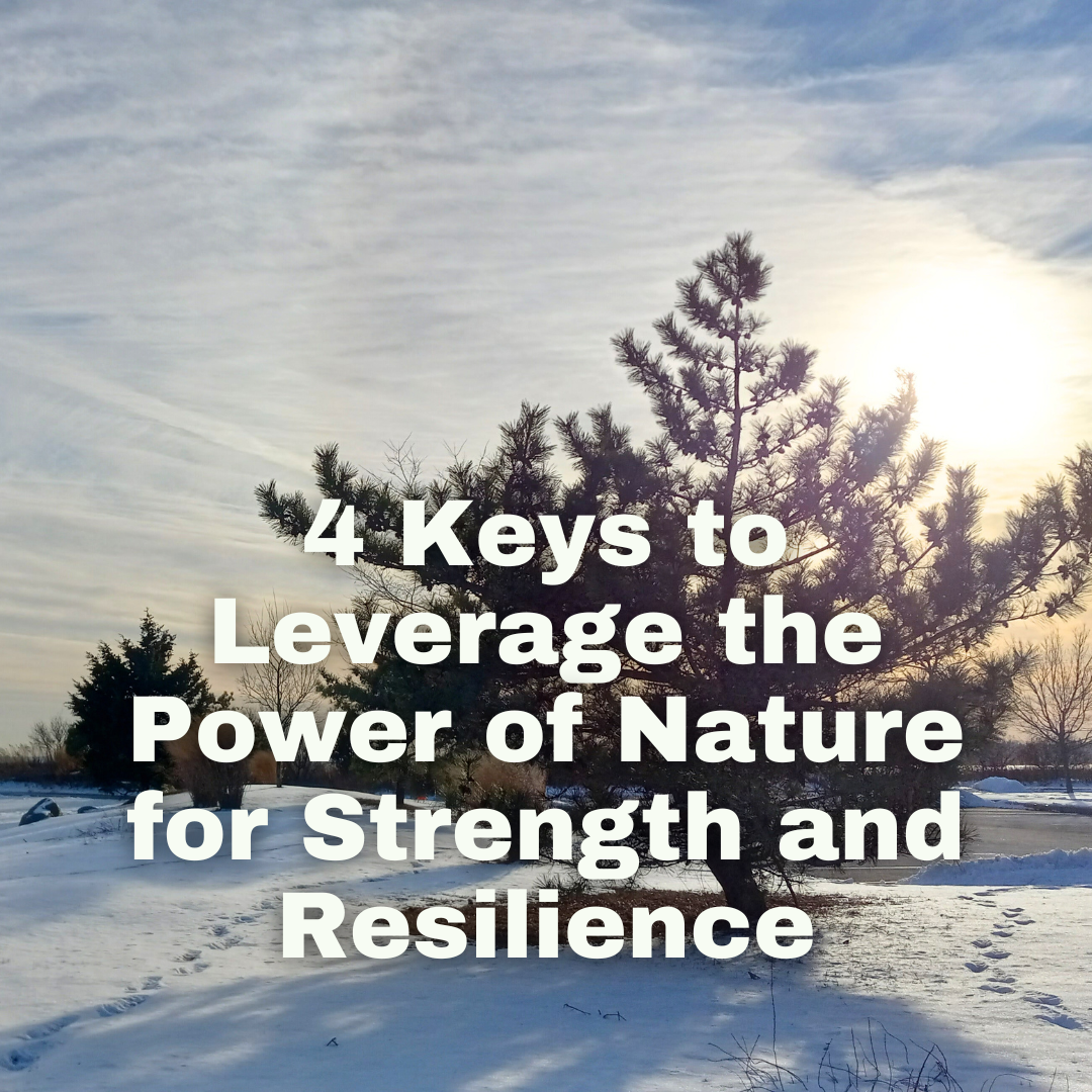 4 Keys to Leverage the Power of Nature for Personal Growth