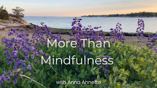 More Than Mindfulness