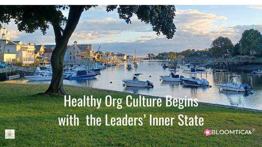 Healthy Org Culture Begins with the Leaders' Inner State