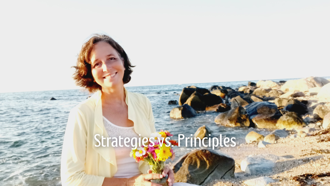 Strategies vs. Principles