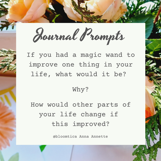 Journal Prompts 11-24-24