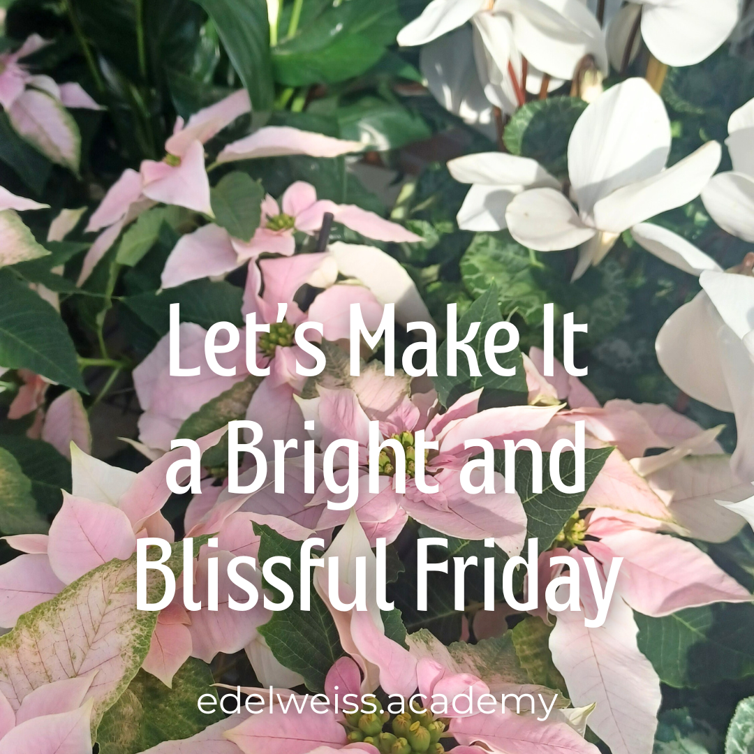 Turning Black Friday to Bright and Blissful Friday!