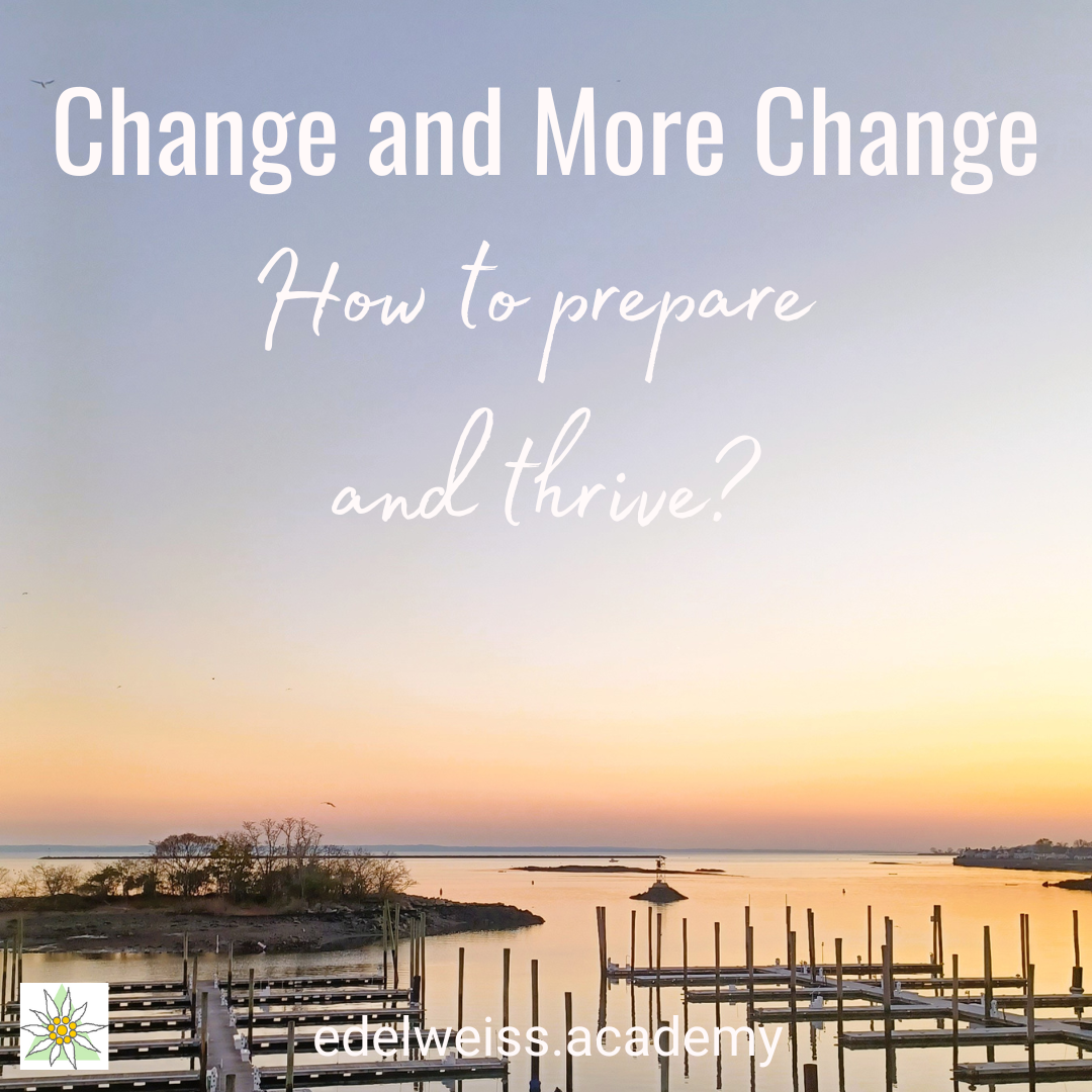 Change and More Change. How to Prepare and Thrive? – Anna Annette ...