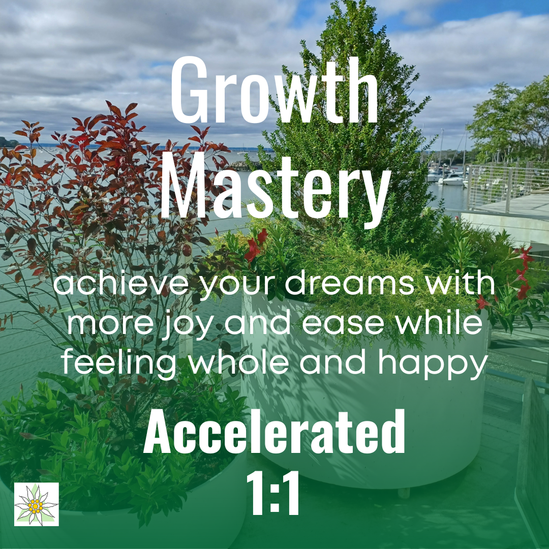 Growth Mastery 1:1 Accelerated