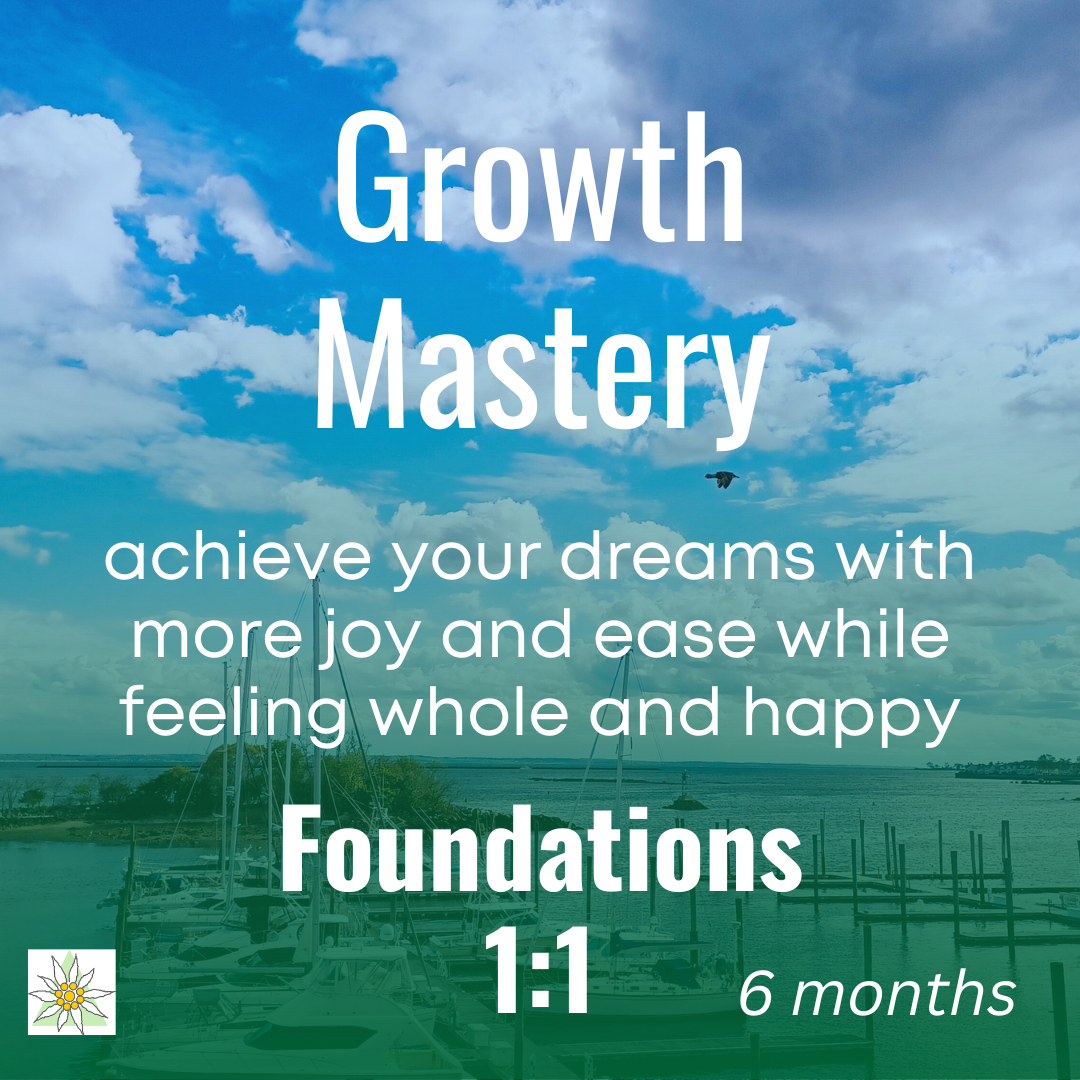 Growth Mastery 1:1 Foundations - 6 months