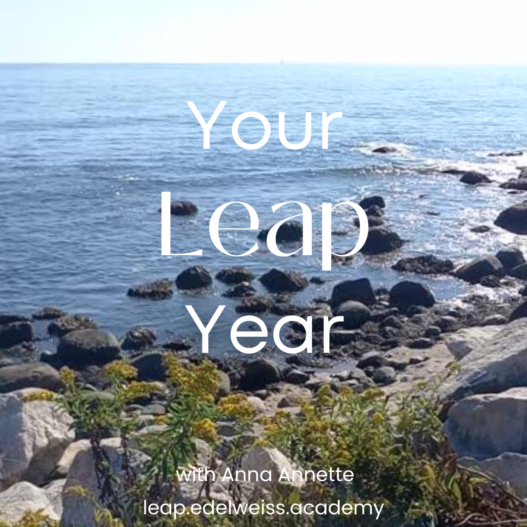 Your LEAP Year. Self-Study PLUS 1:1 with Anna