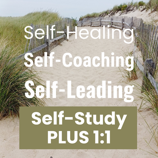 Self-Healing. Self-Coaching. Self-Leading. Self-Study PLUS 1:1