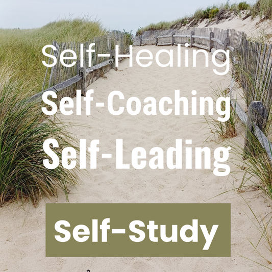 Self-Healing, Self-Coaching, Self-Leading. Self-Study for CIRI
