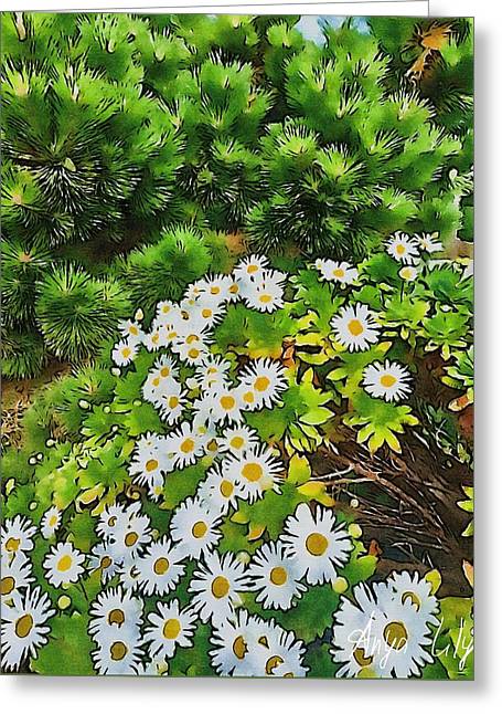 Happy Daisies - Greeting Card