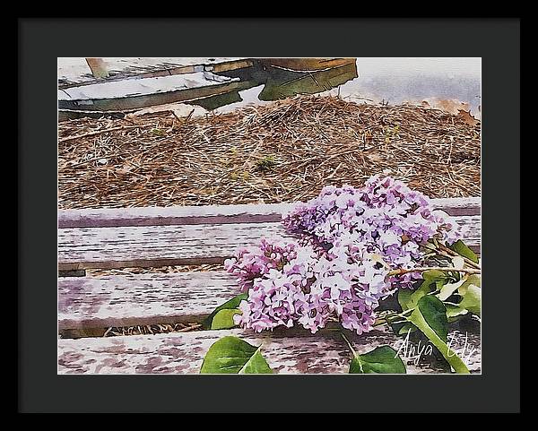 Lilacs - Framed Print