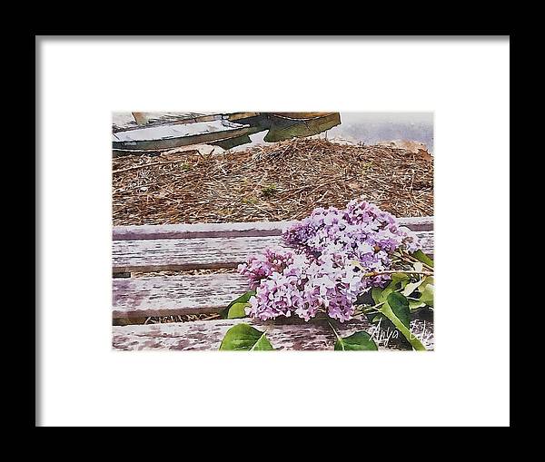 Lilacs - Framed Print