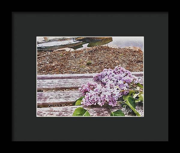 Lilacs - Framed Print