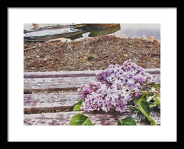 Lilacs - Framed Print