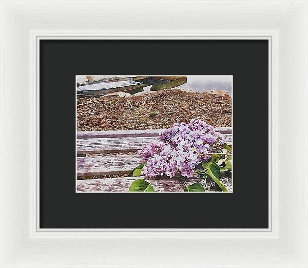 Lilacs - Framed Print