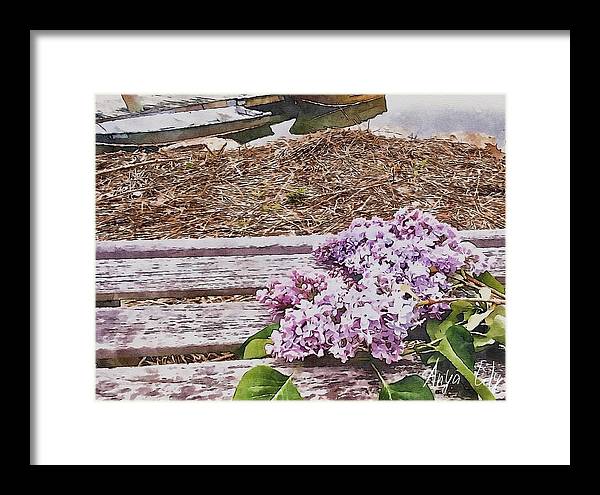 Lilacs - Framed Print