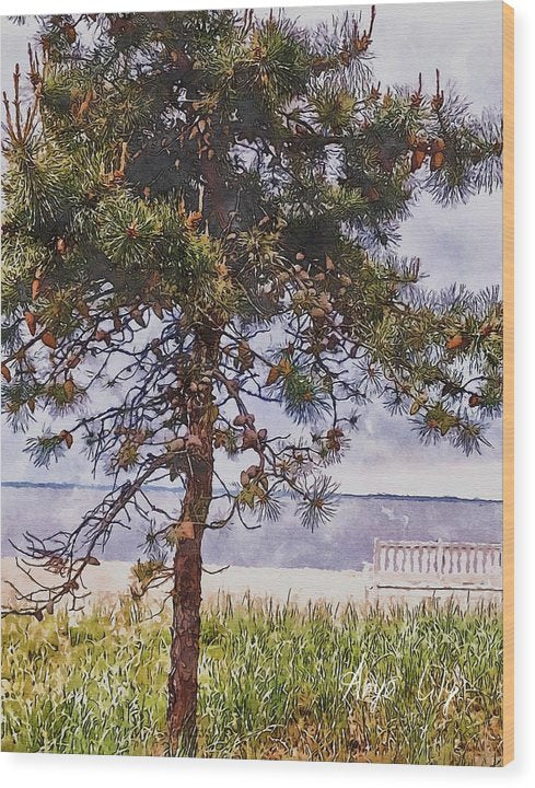 Pine by the sea - Wood Print