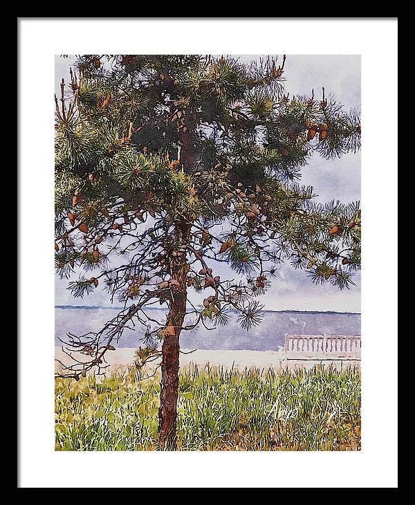 Pine by the sea - Framed Print