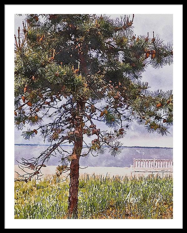 Pine by the sea - Framed Print